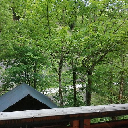 Chalet Au Pont De Flon Le Cornix Екстериор снимка